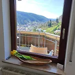 Panoramablick Bad Wildbad