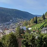 Panoramablick