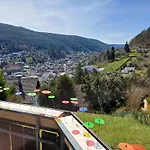 Panoramablick Bad Wildbad