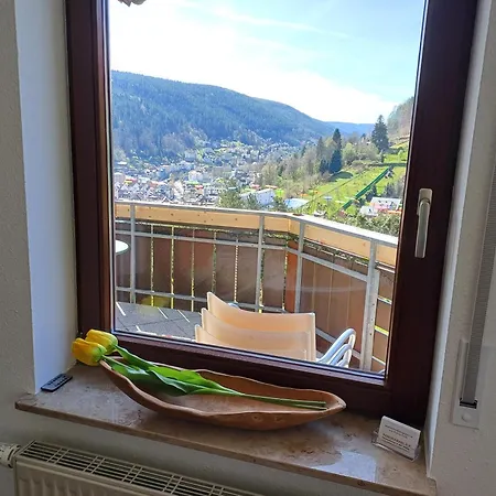 Panoramablick Bad Wildbad