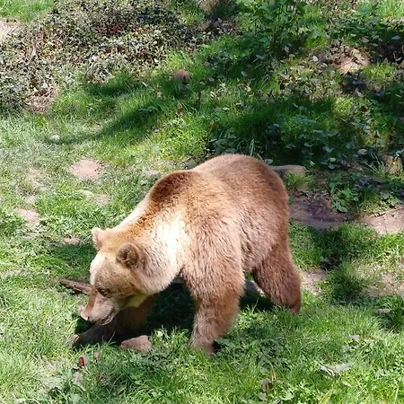 Appartamento Panoramablick