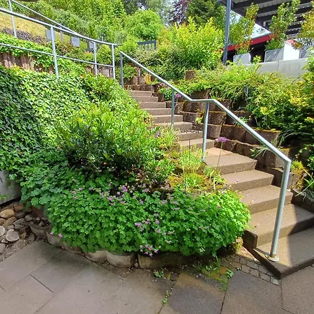 Panoramablick Lägenhet Bad Wildbad