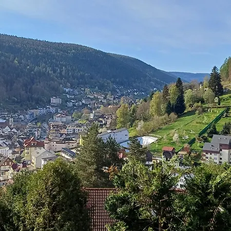Appartamento Panoramablick Bad Wildbad