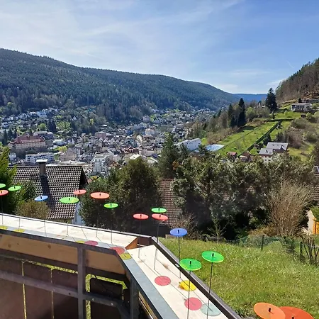 Panoramablick Bad Wildbad