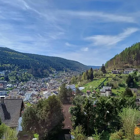 Panoramablick Bad Wildbad