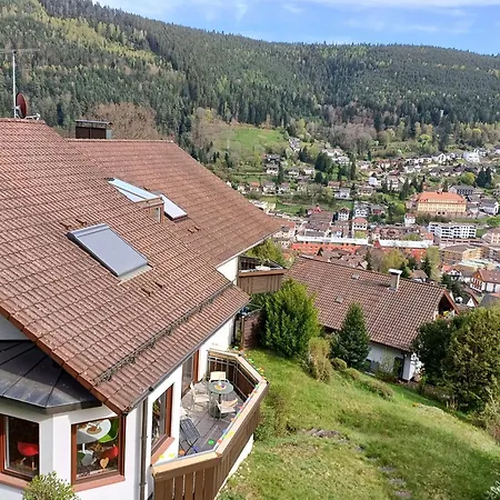 Panoramablick Appartamento Bad Wildbad