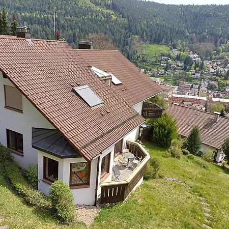 Panoramablick *