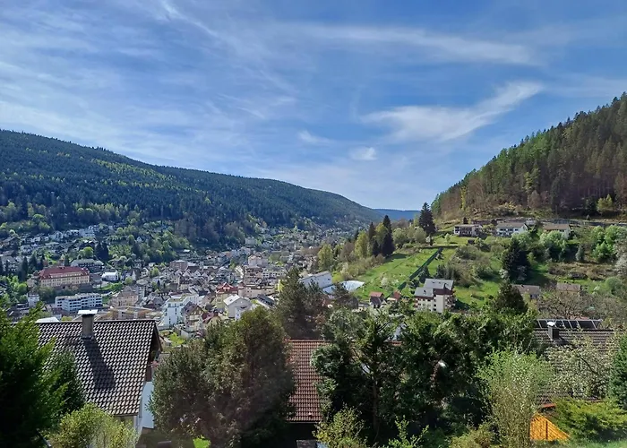 Lägenhet Panoramablick Bad Wildbad