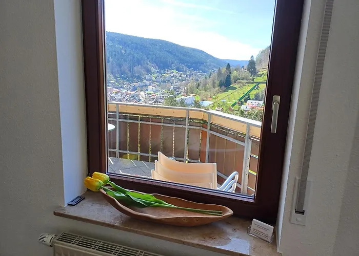 Panoramablick Bad Wildbad