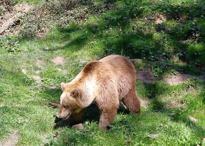 Appartement Panoramablick